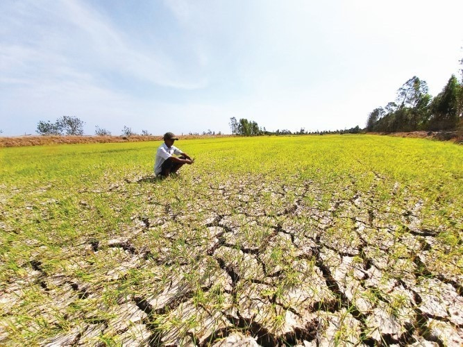 sieu-el-nino-dbscl-2.jpg