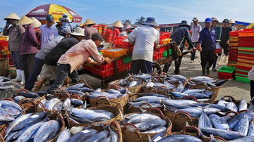 Thủy sản Việt Nam thu gần 6 tỷ USD sau nửa năm