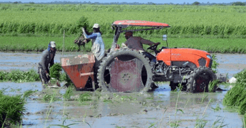 Việt Nam mang công nghệ mới sang Cuba, người dân chứng kiến điều chưa từng thấy trên cánh đồng lúa
