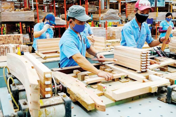 Nghịch lý ngành gỗ: Xuất khẩu 17 tỷ USD nhưng vẫn thiếu gỗ trong nước, ‘mắc kẹt’ ở bài toán nguyên liệu