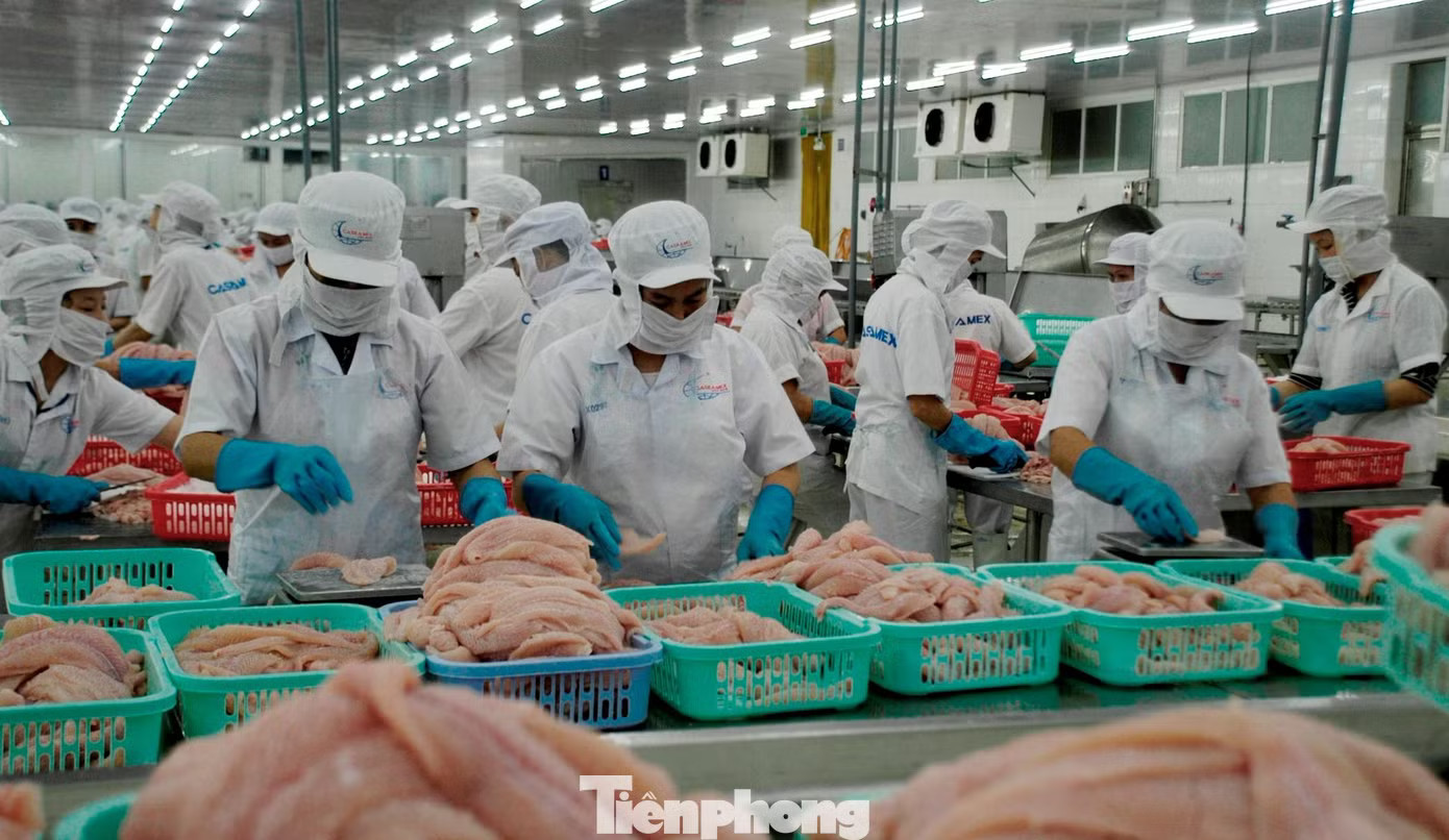 Việt Nam là một trong những nhà cung cấp thủy sản lớn cho thị trường Mỹ. Việt Nam nhập nông sản cao cấp nào từ Mỹ? - Ảnh 2.