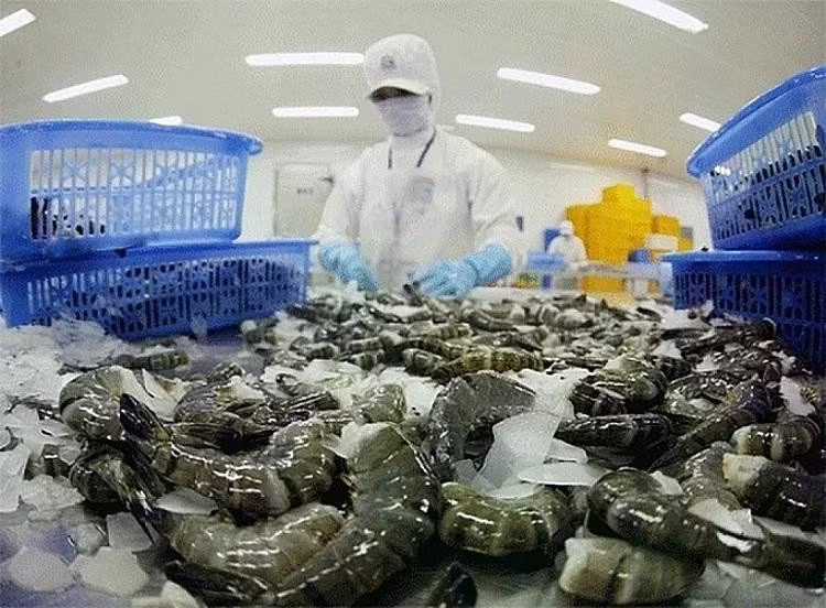 Nhiều mặt hàng thuỷ sản Việt Nam xuất sang Mỹ bị áp thuế bổ sung. Mỹ áp thuế mới lên hàng nhập khẩu: Doanh nghiệp Việt chịu tác động ra sao? - Ảnh 1.