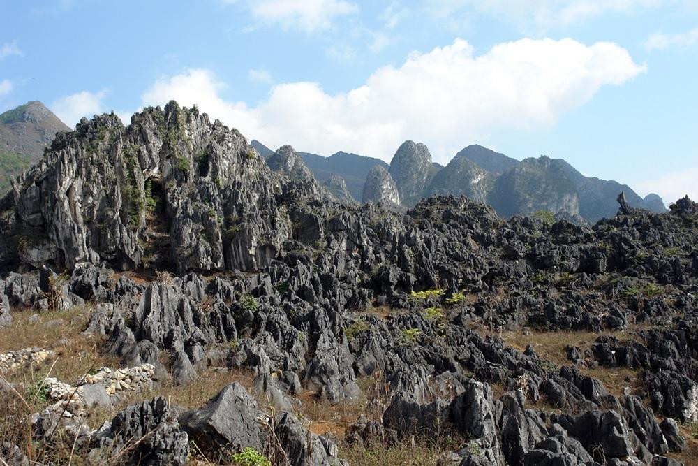 caonguyendadongvan2_1785124398.jpg