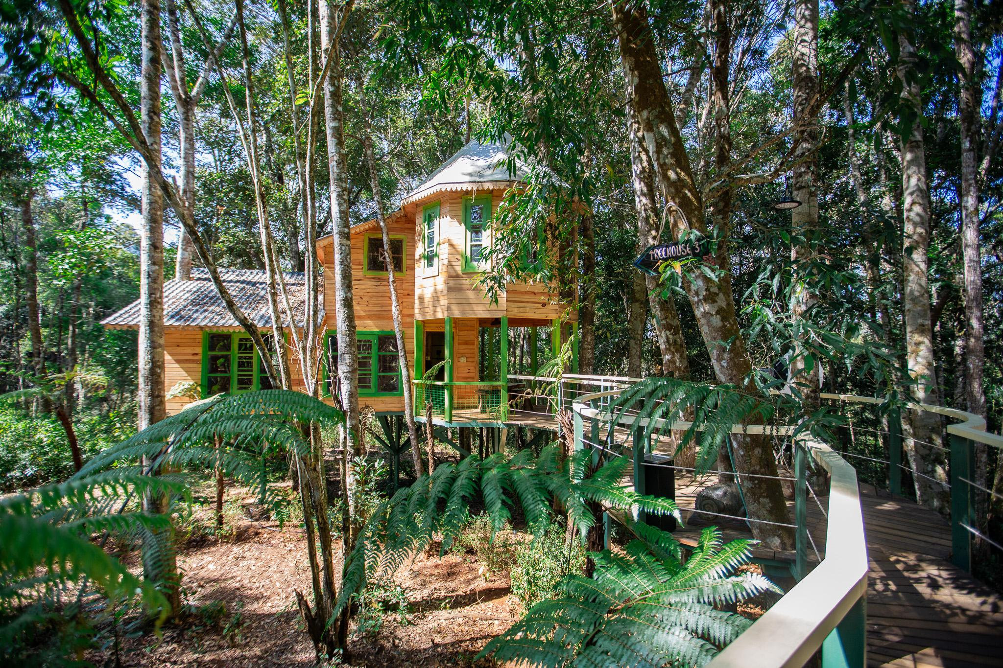 mang-den-treehouse1_1785144491.jpg