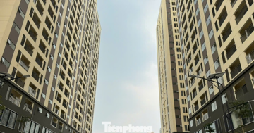 TPHCM muốn nâng thu nhập người mua nhà ở xã hội lên 60 triệu/tháng
