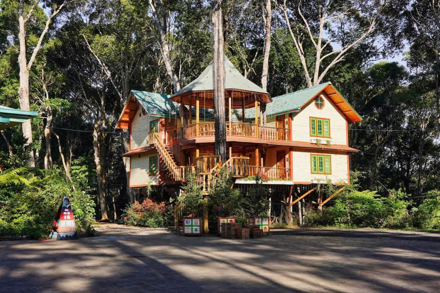 mang-den-treehouse_1785144492.jpg