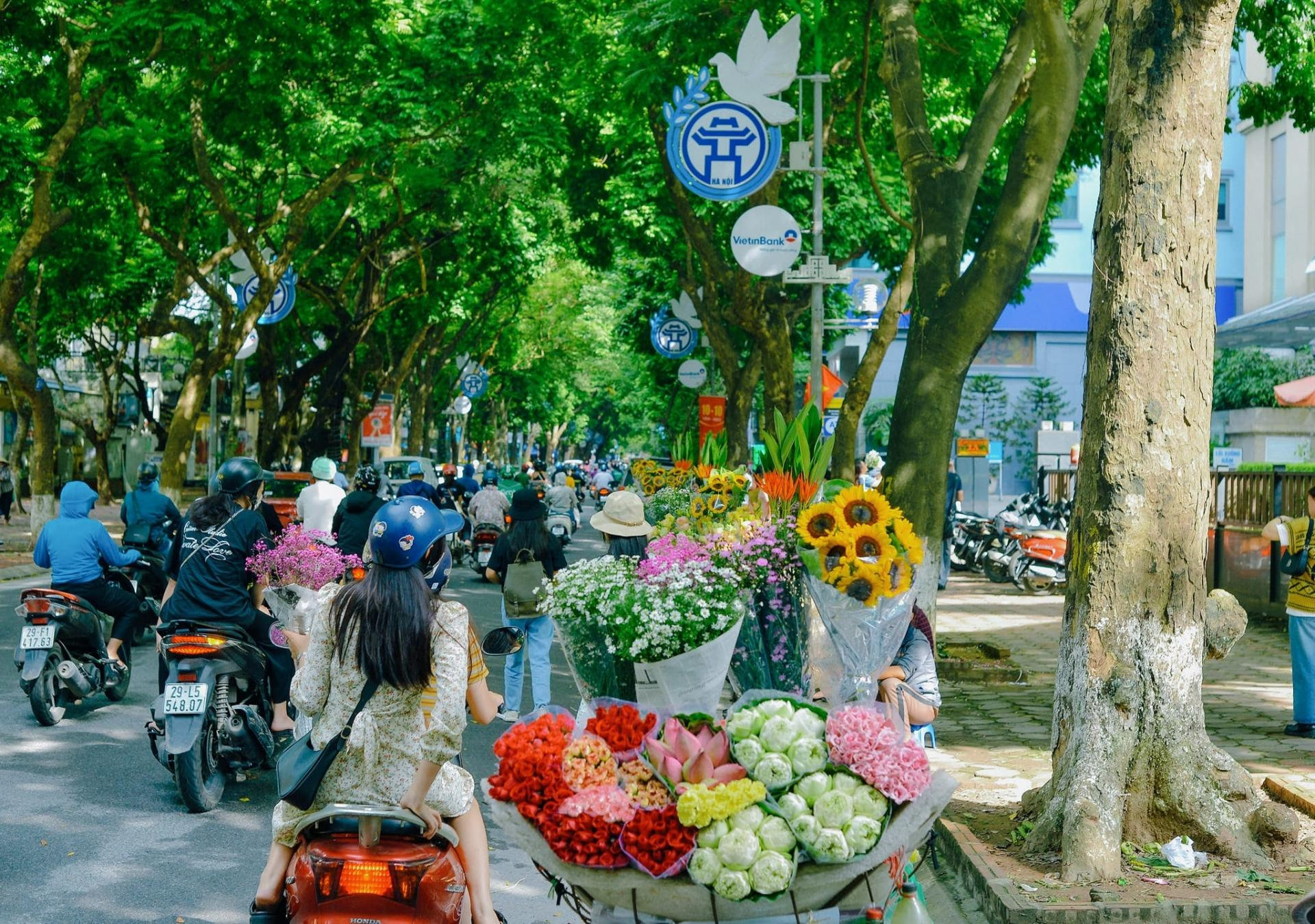 ha-noi-trong-toi-min_1785231085.jpg