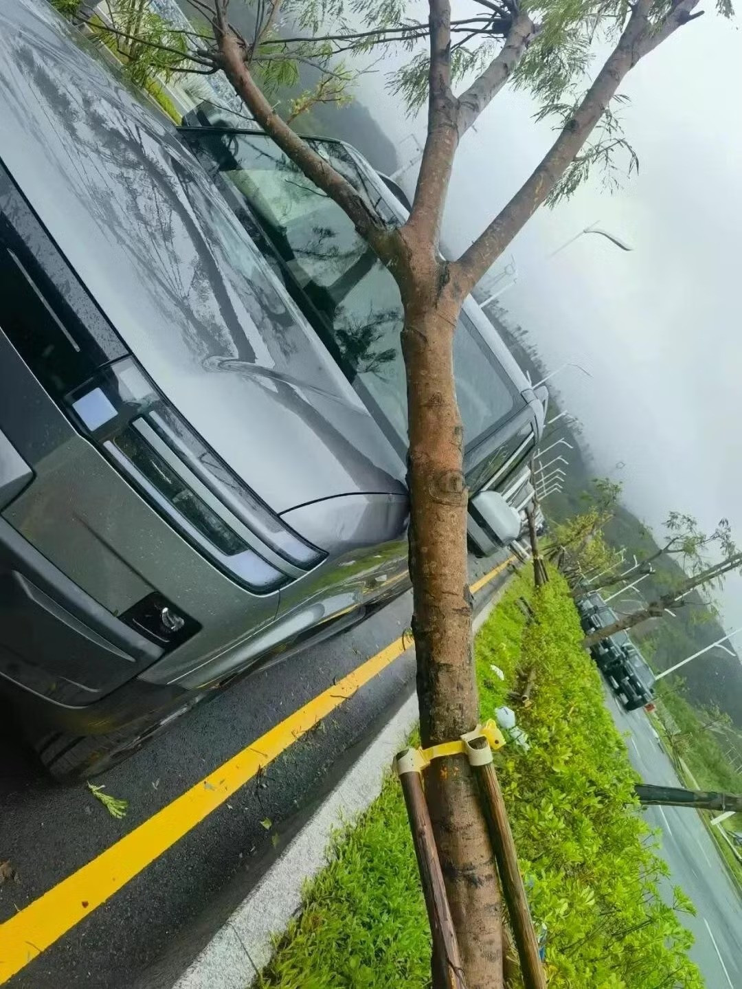 byd-ban-xe-giam-gia32.jpg