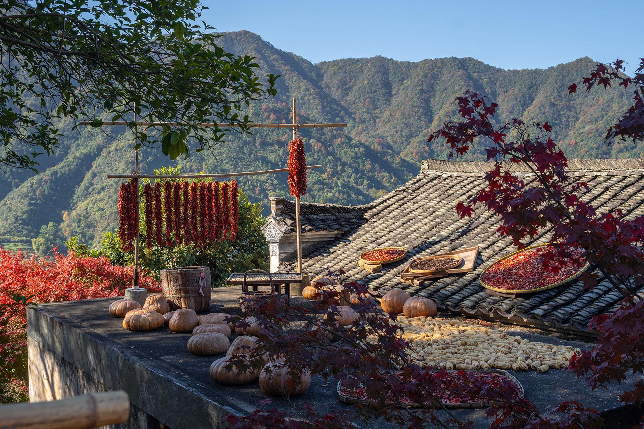 metalocus_renovacion-de-la-antigua-aldea-de-huangling-por-wuyuan-village-culture-media-co.-ltd._24_1784624157.jpg