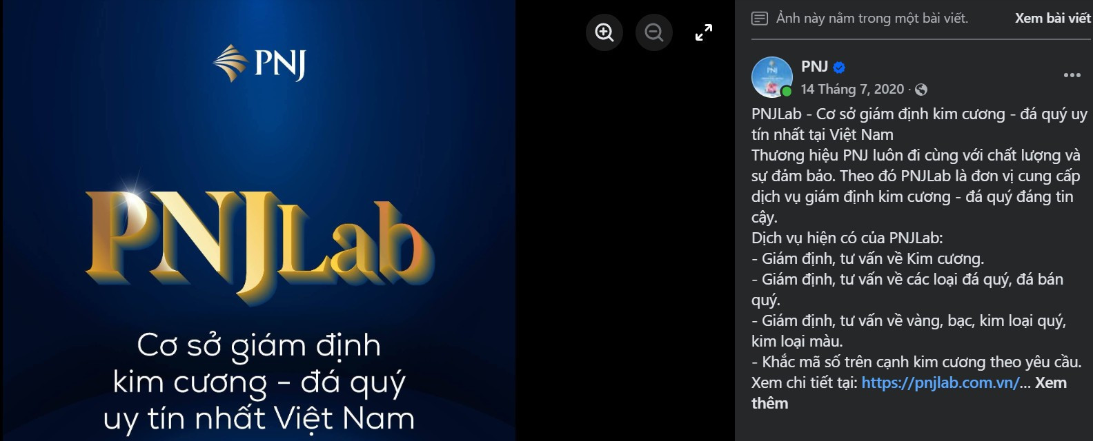 Giám đốc PNJLAB Đặng Ngọc Thảo vừa bị bắt trong vụ buôn lậu 28.000 viên kim cương: Chị gái là thành viên HĐQT <a style='text-decoration: none;' href='/PNJ'>PNJ</a> có khối tài sản trăm tỷ - Ảnh 1.