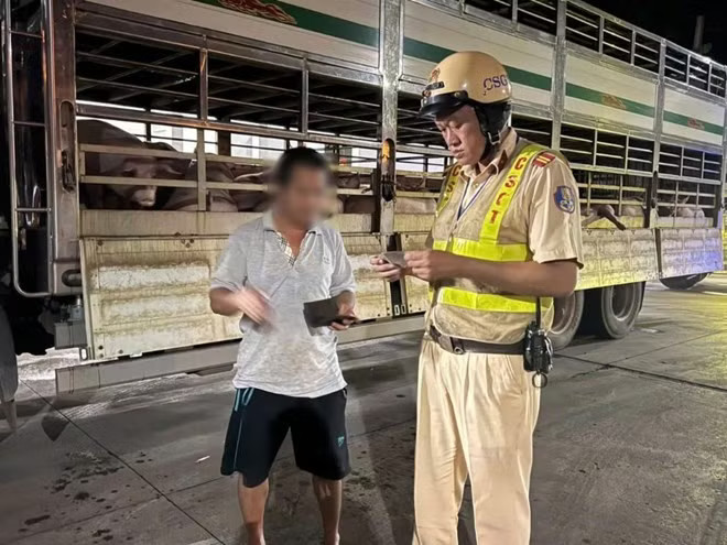 Tổ công tác Đội Cảnh sát giao thông Rạch Chiếc - Công an TPHCM phối hợp lực lượng kiểm dịch TPHCM tổ chức kiểm tra xe vận chuyển heo có dấu hiệu vi phạm vào ngày 26/7 (ảnh: CACC). Hàng trăm con heo nghi 'dính' chất cấm Salbutamol - Ảnh 2.