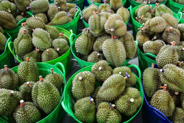 Bắt Thứ trưởng Nông nghiệp và Môi trường Hoàng Trung