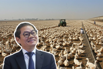 THACO AGRI muốn đầu tư 7.500 tỷ đồng vào Hưng Yên để trồng lúa, nuôi vịt, thả cá