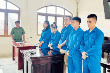 Tuyên án 72 năm tù đối với Nguyễn Vũ Sao Mai 26 tuổi và đồng phạm