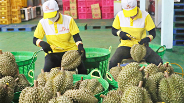 Đặc sản Việt Nam vừa đón tin vui từ thị trường hơn 1,4 tỷ dân