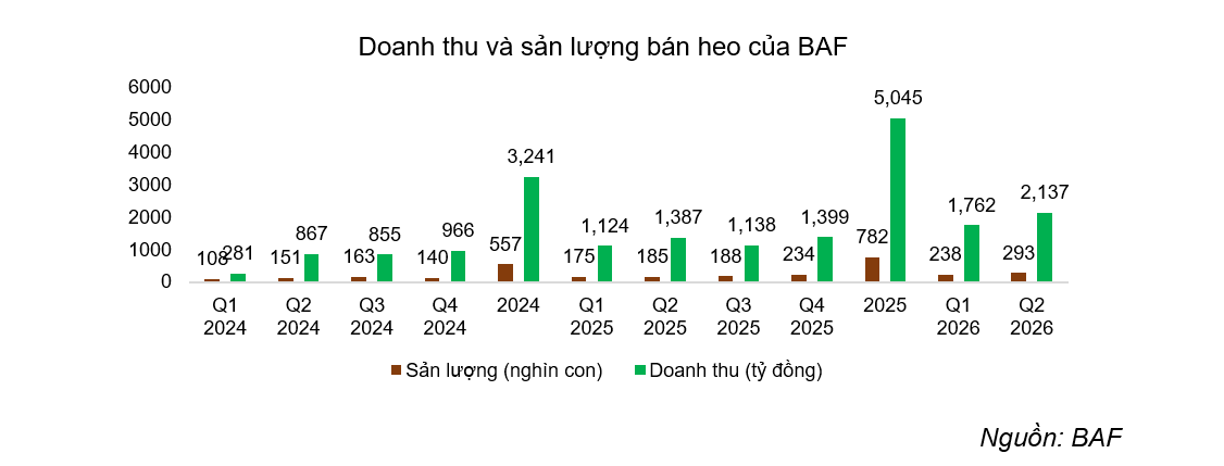 Nông nghiệp <a style='text-decoration: none;' href='/BAF'>BAF</a> lãi trước thuế 321 tỷ đồng sau nửa năm, tổng đàn heo đạt 900.000 con - Ảnh 2.