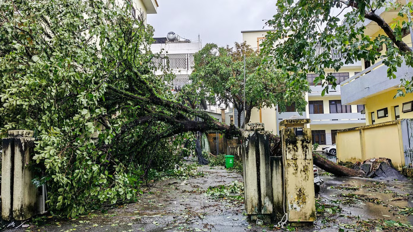 Móng Cái tan hoang không nhận ra sau bão số 1 - Ảnh 4.