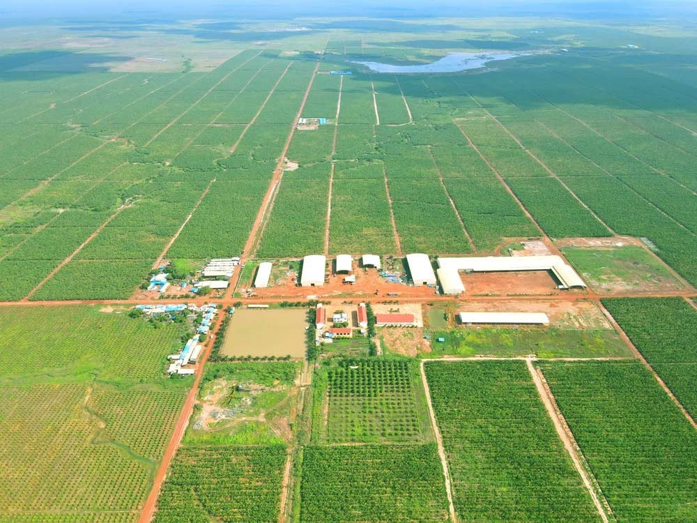 HAGL Agrico sáp nhập công ty tại Là