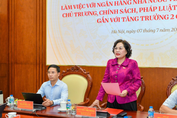 Phó Chủ tịch Quốc hội Nguyễn Thị Hồng có chỉ đạo ‘nóng’ tới Ngân hàng Nhà nước