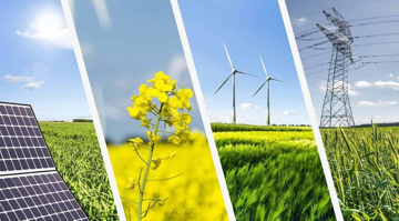 Dự báo KQKD quý II/2026 ngành điện: Lợi nhuận của Hà Đô (HDG), PV Power tăng bằng lần