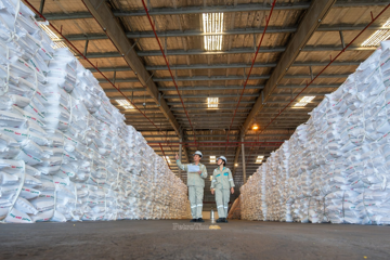 Quản trị minh bạch: Nền tảng bền vững trong hành trình ESG của PVFCCo – Phú Mỹ