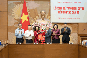 Bổ nhiệm Vụ trưởng Vụ Tín dụng NHNN làm Trợ lý Phó Chủ tịch Quốc hội Nguyễn Thị Hồng