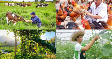 Chính sách mới có hiệu lực từ tháng 8/2026