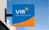 VIB chốt quyền nhận cổ phiếu thưởng, vốn điều lệ sắp vượt 37.000 tỷ đồng