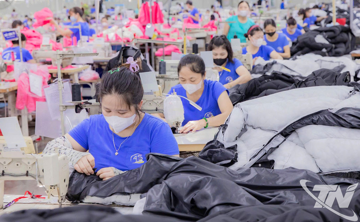 TNG: Doanh nghiệp dệt may gần 20.000 lao động đang đối mặt nợ vay lớn và rủi ro Mỹ áp thuế cao nhất