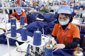 Nếu chậm cung cấp thông tin này cho cơ quan thuế, tổ chức, cá nhân có thể bị phạt tới 100 triệu đồng
