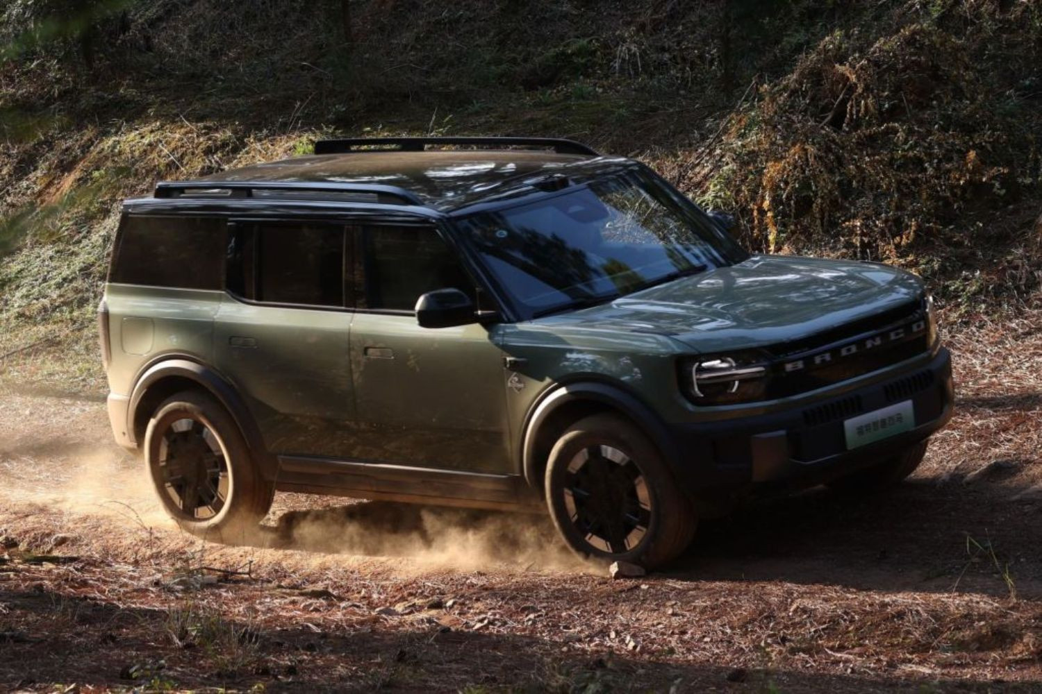Ford Bronco New Energy