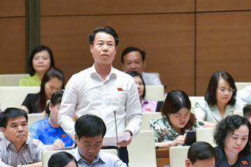 ĐBQH đề xuất công khai giá bồi thường đất, tránh chênh lệch giữa người thỏa thuận và người bị thu hồi