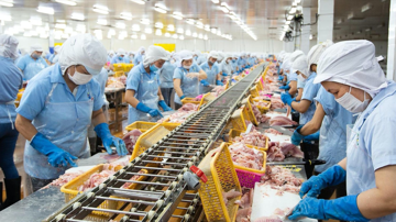 Nam Việt (ANV) đặt mục tiêu lãi trước thuế cao kỷ lục 1.400 tỷ đồng, sau nửa năm mới thực hiện được 29%