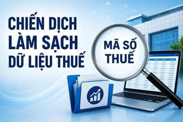 Làm sạch mã số thuế: Xử lý xong hôm nay, làm sao không 'bẩn' trở lại ngày mai?