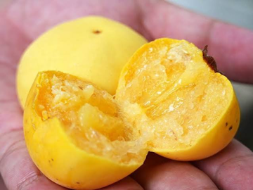 Từng mọc quanh xóm làng, loại quả thơm nức tuổi thơ nay khan hiếm giá lên tới 100.000 đồng/kg
