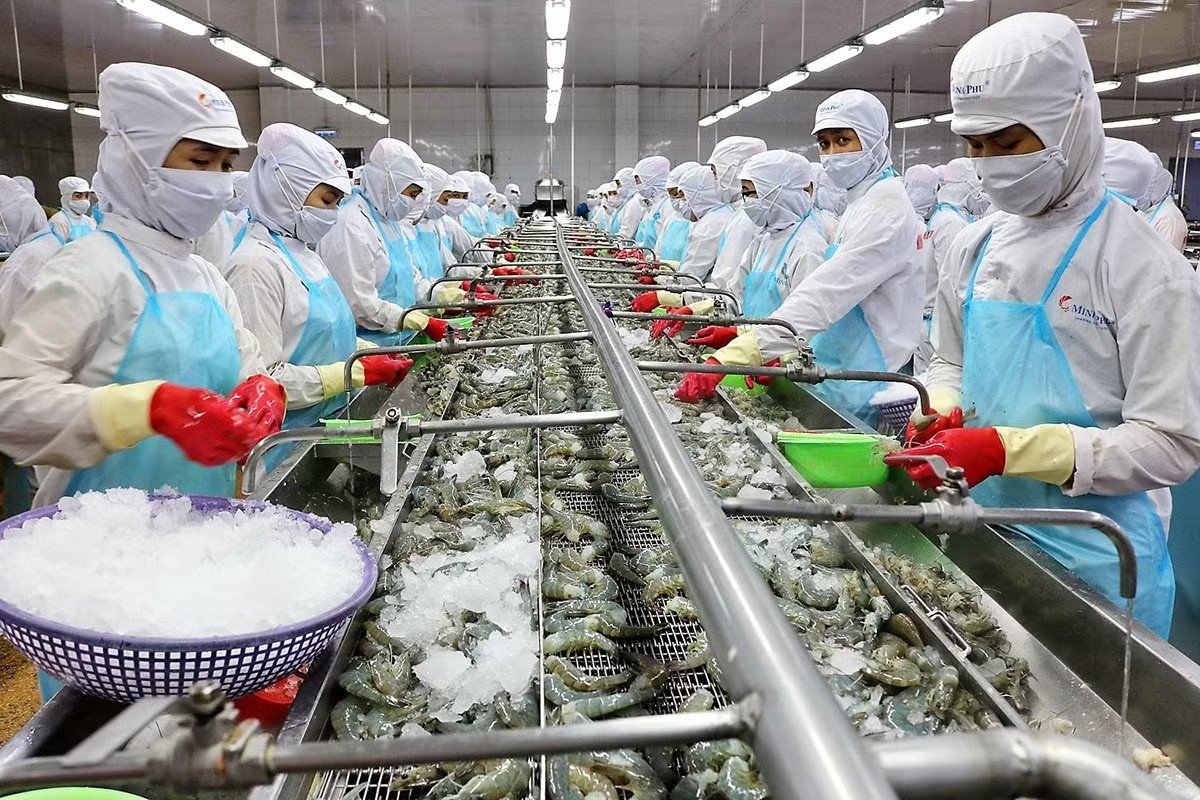 Xuất khẩu thủy sản tháng 7 đạt 1,1 tỷ USD, thị trường lớn hiện ra sao? - Ảnh 2.