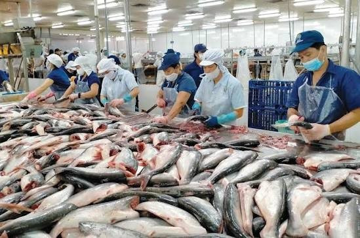 Xuất khẩu thủy sản tháng 7 đạt 1,1 tỷ USD, thị trường lớn hiện ra sao?