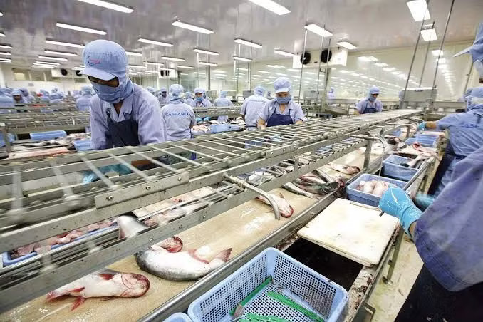 Xuất khẩu thủy sản tháng 7 đạt 1,1 tỷ USD, thị trường lớn hiện ra sao? - Ảnh 1.