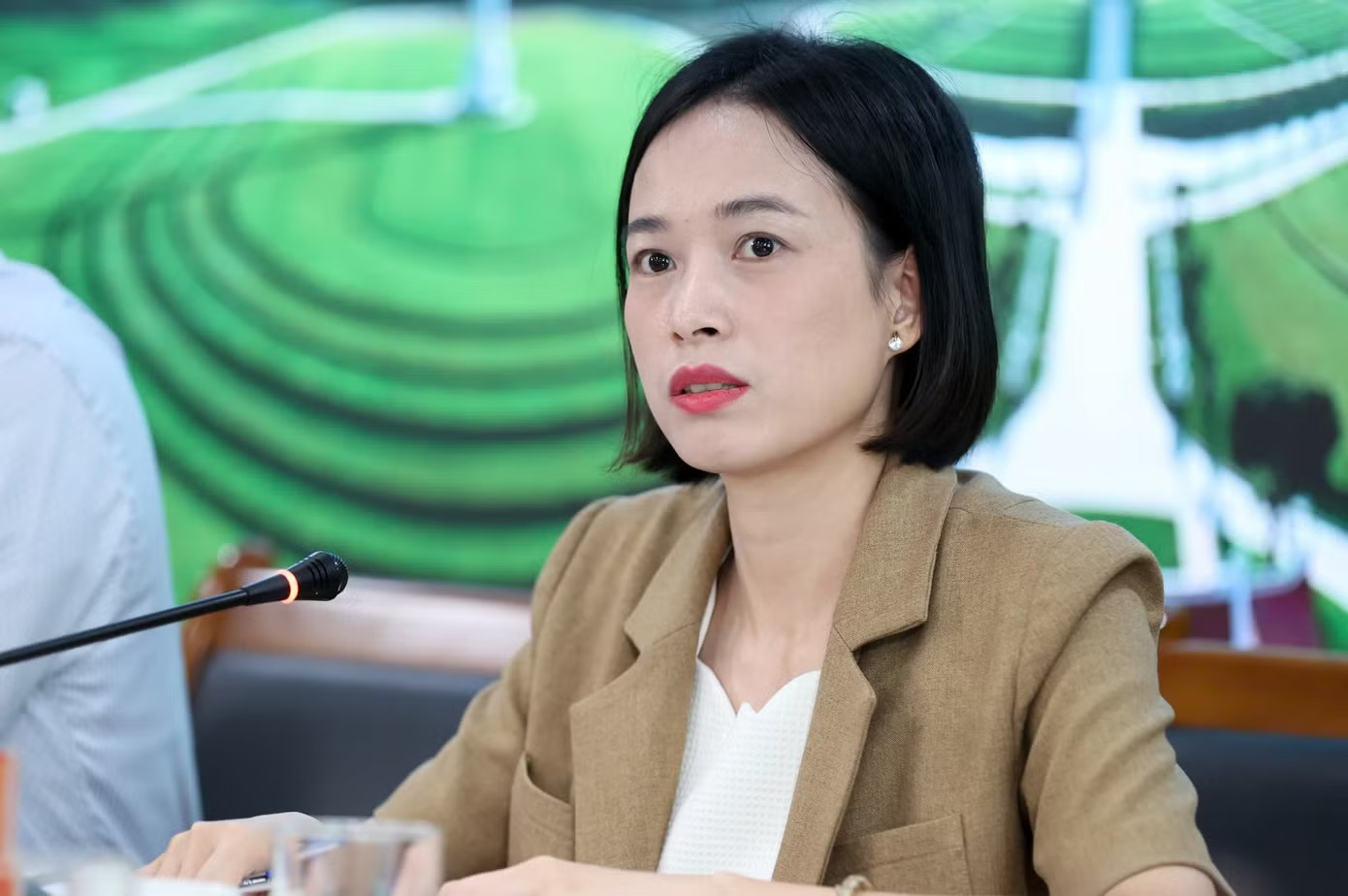 Bà Phạm Thị Miền - Phó Viện trưởng Viện Nghiên cứu đánh giá thị trường Bất động sản Việt Nam. Lo 'sóng' đầu cơ, thổi giá bất động sản tâm linh - Ảnh 1.