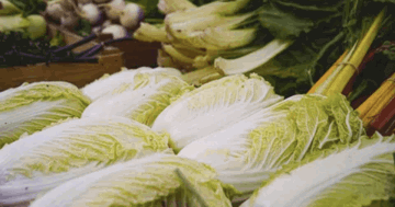 Hàn Quốc siết kiểm soát cải thảo Trung Quốc sau bê bối tẩm chất gây ung thư