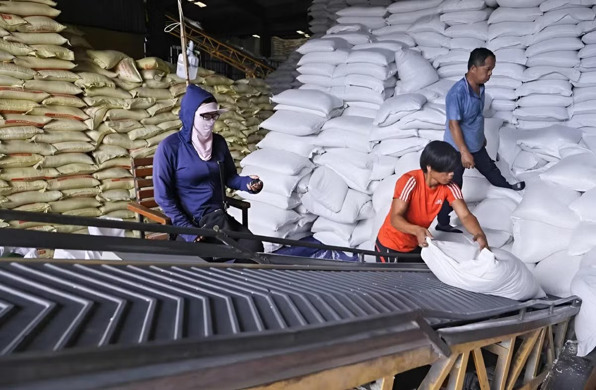 Philippines dựng thêm rào cản, gạo Việt trước bài toán tìm đầu ra - Ảnh 1.