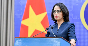 Việt Nam kiên quyết phản đối các hoạt động phi pháp ở Hoàng Sa