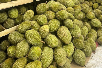 Thêm thị trường tỷ dân đón sầu riêng Việt Nam không rào cản