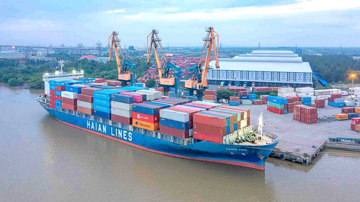 Viconship (VSC) báo lãi kỷ lục, đầu tư gần 2.500 tỷ vào HAH