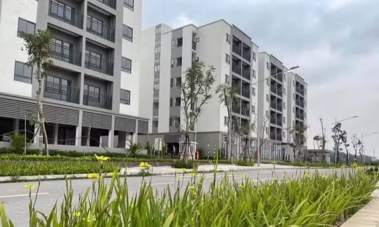 Một khu NOXH tại Hà Nội Đề nghị cắt bỏ khâu 'thẩm định và ra quyết định miễn tiền sử dụng đất' đối NƠXH - Ảnh 1.