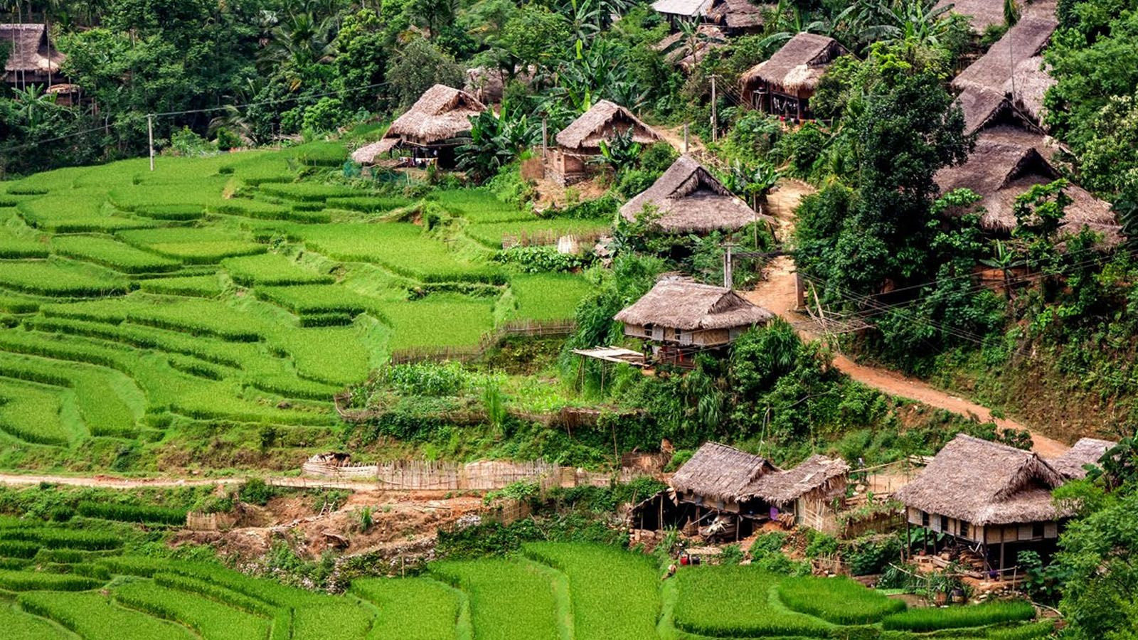 Dịch vụ homstay đang nở rộ tại Pù Luông