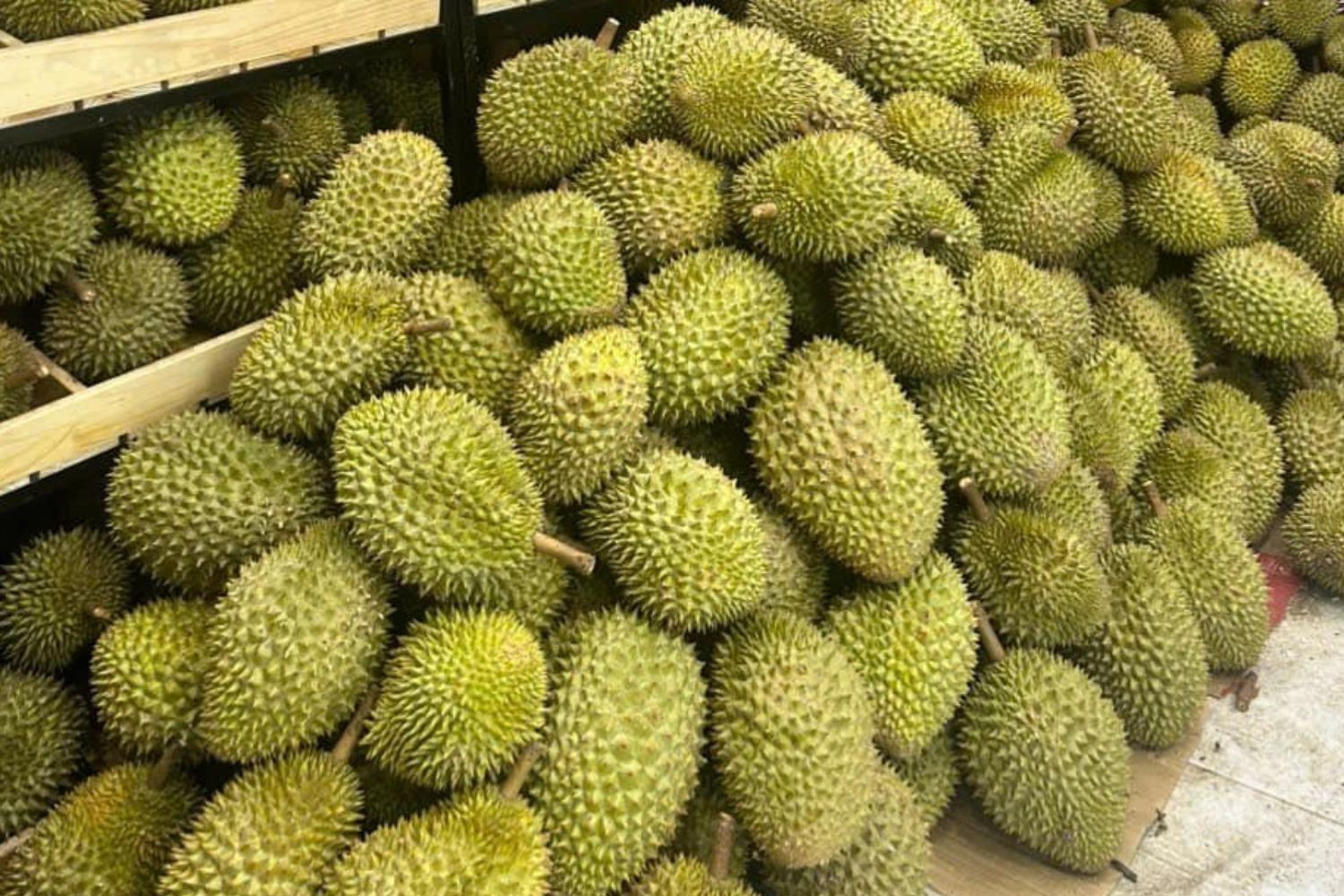 Sầu riêng có thêm thị trường mới