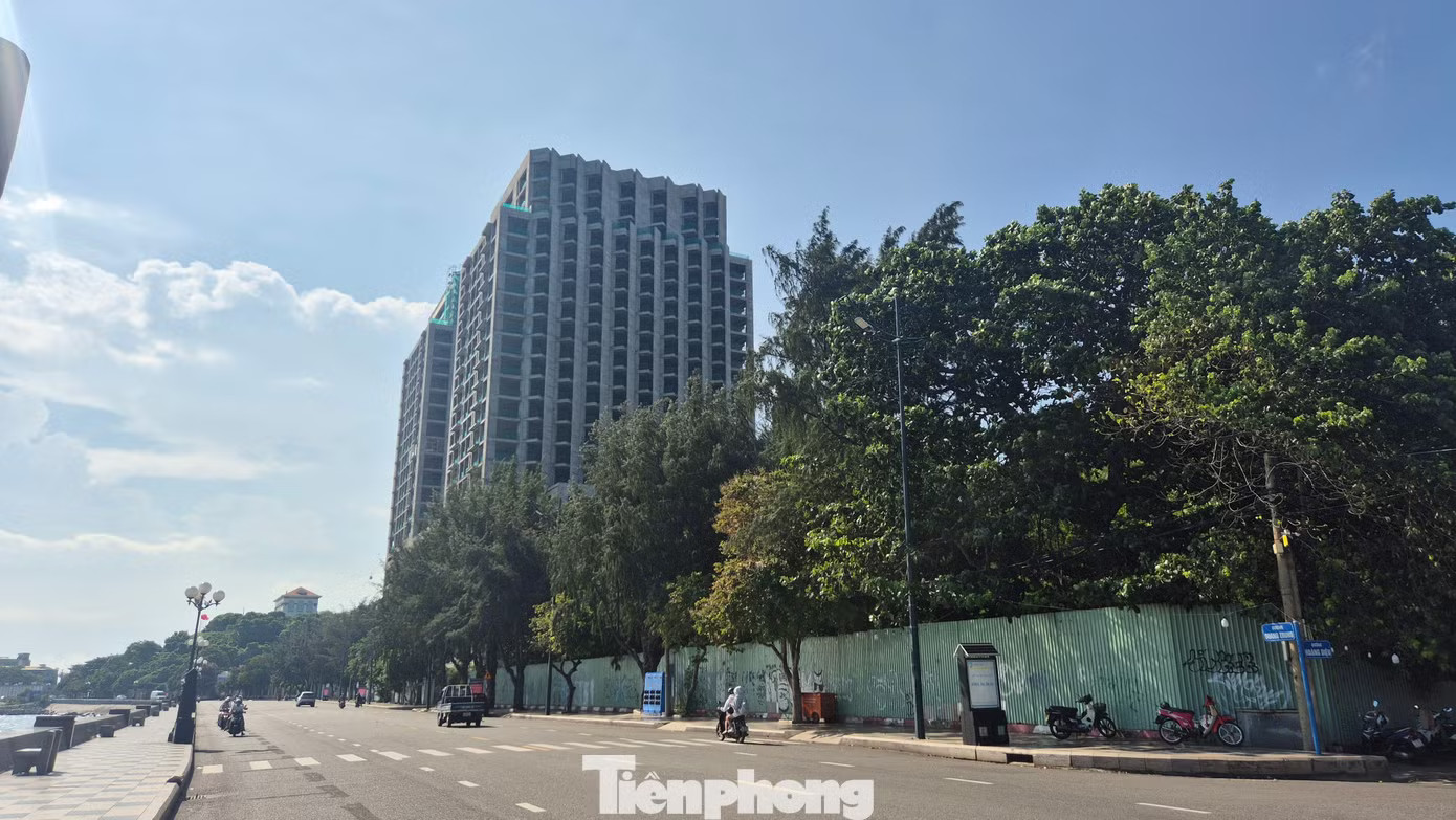 Mặt tiền biển Bãi Trước của Dự án khách sạn DoubleTree by Hilton Vũng Tàu và Tổ hợp đang quây tôn, cỏ cây um tùm Loạt dự án trên 'đất vàng' Vũng Tàu: Nơi bỏ hoang, chỗ thi công cầm chừng... - Ảnh 3.