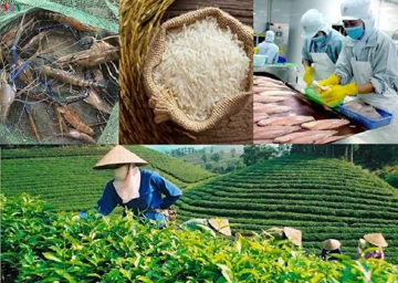 Nông sản Việt thu gần 43 tỷ USD sau 7 tháng nhưng cà phê, gạo, sầu riêng gặp khó