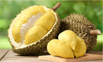 Sầu riêng giúp một doanh nghiệp 'hậu trường' báo lãi gấp đôi cùng kỳ
